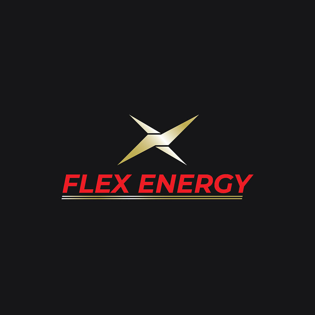 Flex-Energy-Logo