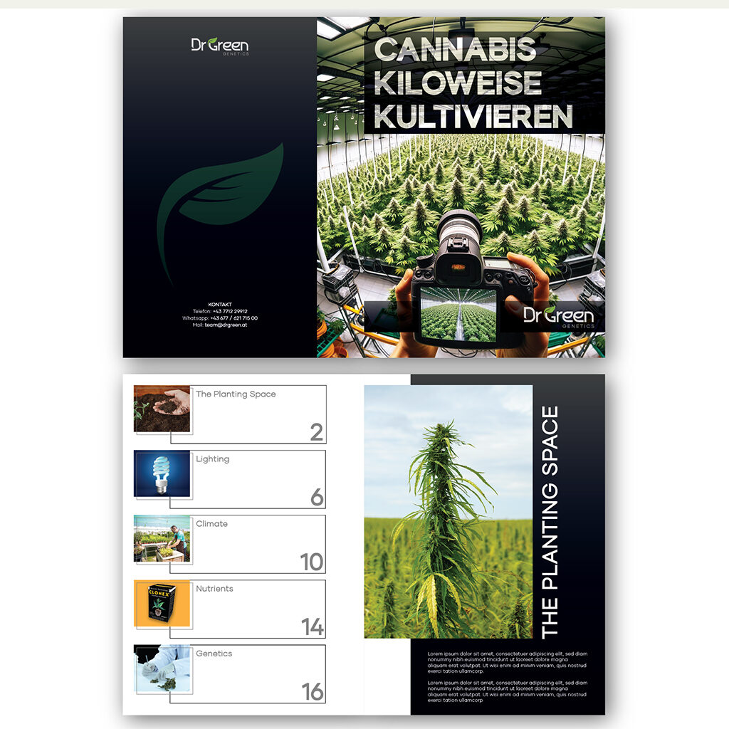 Dr-Green-Cannabis-Brochure-Flat-Design