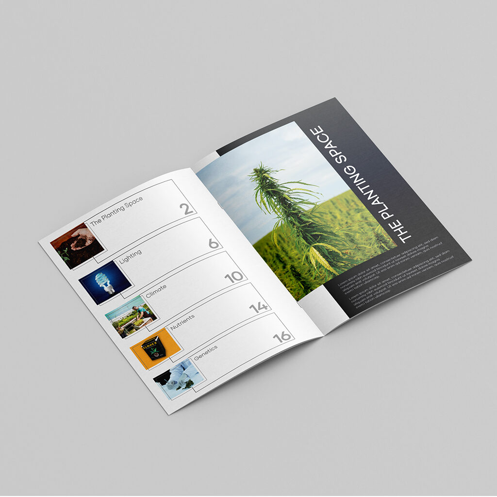 Dr-Green-Cannabis-Brochure-Inside-page
